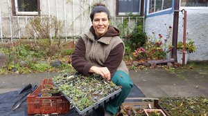 die junge Frau Nina Keller hockt in Arbeitskleidung vor einem Blech voller kleiner grüner Pflanzen
