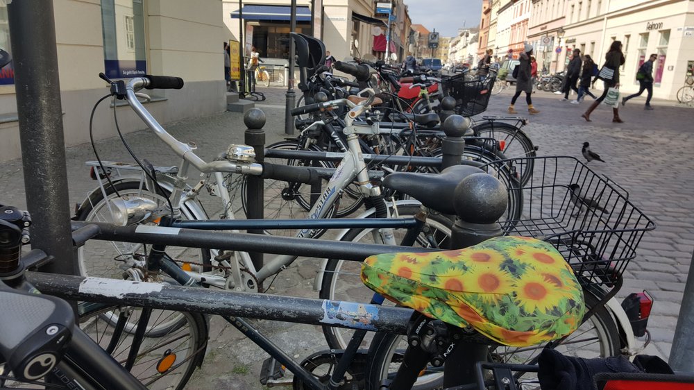 Ein Fahrrad mit Sattelschoner, darauf Sonnenblumen. Dahinter viele Fahrräder, fotografiert am Anfang der Fußgängerzone Brandenburger Straße in Potsdams Innenstadt. Hier stehen täglich viele Fahrräder.