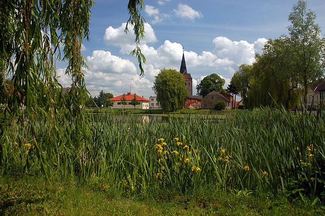 Agrarministerkonferenz in Heidelberg: Bündnisgrüne erwarten von Brandenburg klares Bekenntnis zur EU-Wiederherstellungsverordnung