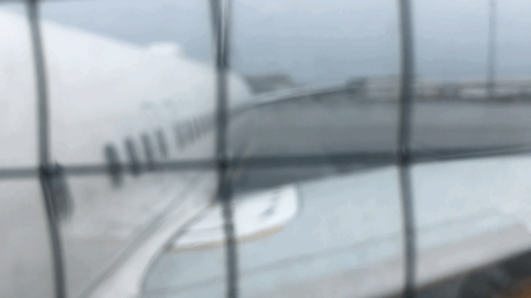 Rückholung der jesidischen Familie mit minderjährigen Kindern ist oberstes Gebot. Bündnisgrüne: Wilke muss Verantwortung übernehmen