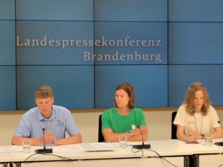 Klimaschutz darf kein Sparposten sein: Bündnisgrüne fordern Landesregierung zum Handeln auf